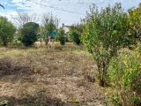  1833784-3133annonce320240411v6urF.jpeg Maisons Open
