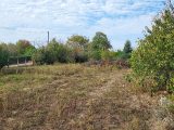  1833784-3133annonce4202404118zC7f.jpeg Maisons Open