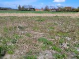  1834802-1587annonce120240412UakfQ.jpeg Maisons Open