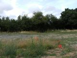  1835051-961annonce120240412F0EvZ.jpeg Maisons Open