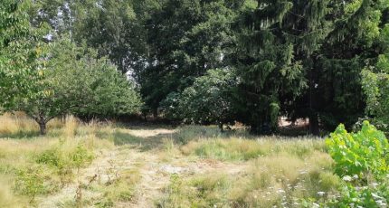 Saint-Rustice Terrain à bâtir - 1831195-6172annonce220240408lymN1.jpeg Maisons Open