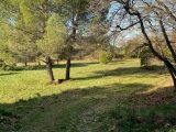  1829304-5922annonce120240404T5CKX.jpeg Maisons Open