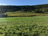  1829768-10122annonce2202404055Tdn0.jpeg Maisons Open