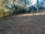  1833511-5922annonce320240411JDdiN.jpeg Maisons Open