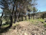  1830215-2970annonce220240405iM4K2.jpeg Maisons Open