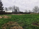  1835506-9685annonce1202404135s8e7.jpeg Maisons Open