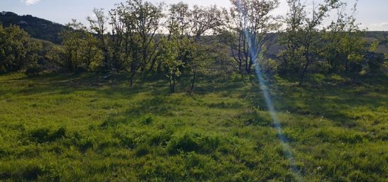 Terrain à bâtir à Vagnas, Auvergne-Rhône-Alpes