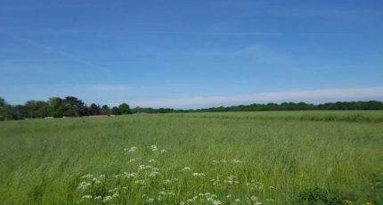 Hénouville Terrain à bâtir - 1831491-1887annonce120240408xaHzF.jpeg Maisons Open