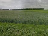  1833178-1887annonce120240410yOEar.jpeg Maisons Open