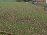  1834672-10568annonce120240412oqozM.jpeg Maisons Open