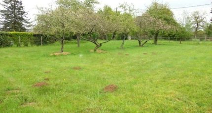 Beauchamp Terrain à bâtir - 1831594-10570annonce320240409WyWMm.jpeg Maisons Open