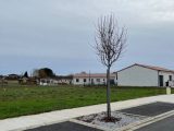   Maisons Open