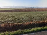  1845486-10326annonce320240426zdFiA.jpeg Maisons Open