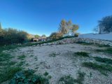 1840989-7066annonce12024042212uEO.jpeg Maisons Open