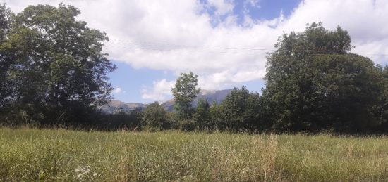 Terrain à bâtir à Forest-Saint-Julien, Provence-Alpes-Côte d'Azur