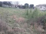  1842826-10819annonce120240424w7hpM.jpeg Maisons Open