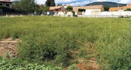 Roiffieux Terrain à bâtir - 1844474-6150annonce220240326ngpCU.jpeg Maisons Open