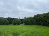  1845193-6150annonce220240328sqhn6.jpeg Maisons Open