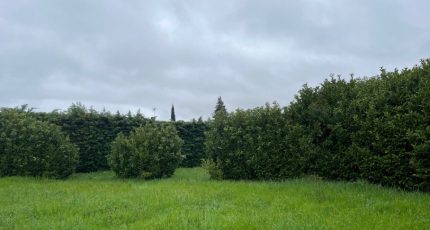 Loriol-sur-Drôme Terrain à bâtir - 1845193-6150annonce220240328sqhn6.jpeg Maisons Open