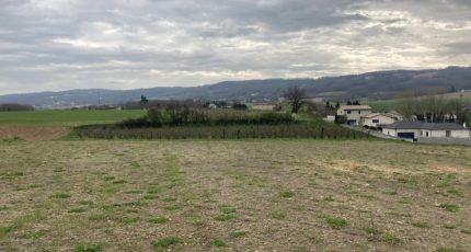 Anneyron Terrain à bâtir - 1845951-6150annonce120240428vdQn4.jpeg Maisons Open