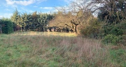 Saint-Georges-les-Bains Terrain à bâtir - 1846459-10819annonce1202404299gPeQ.jpeg Maisons Open
