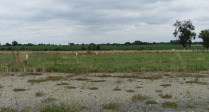 L'Hôtellerie-de-Flée Terrain à bâtir - 1846151-961annonce1202404293VJbX.jpeg Maisons Open