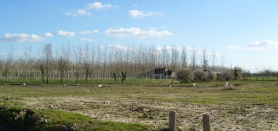 Terrain à bâtir à Neuillé, Pays de la Loire