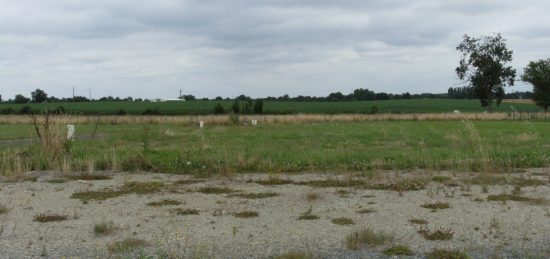 Terrain à bâtir à Saint-Cyr-en-Bourg, Pays de la Loire