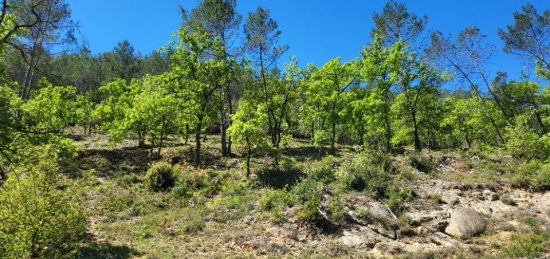 Terrain à bâtir à Vins-sur-Caramy, Provence-Alpes-Côte d'Azur