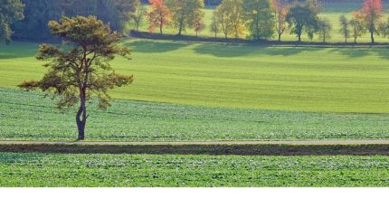 La Magdelaine-sur-Tarn Terrain à bâtir - 1841515-3925annonce120240422RBixJ.jpeg Maisons Open