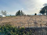  1838536-10896annonce520240417qWNbd.jpeg Maisons Open