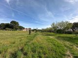  1838917-10851annonce120240418ryWv1.jpeg Maisons Open