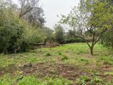  1839224-10851annonce120240418RMrOn.jpeg Maisons Open