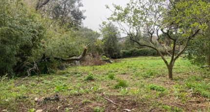 Saint-Raphaël Terrain à bâtir - 1839224-10851annonce120240418RMrOn.jpeg Maisons Open