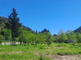  1842348-10316annonce420240423LAdle.jpeg Maisons Open
