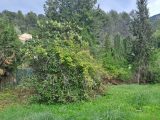  1845916-10316annonce320240428PlgQT.jpeg Maisons Open