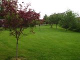  1843397-10626annonce320240425kUHD5.jpeg Maisons Open