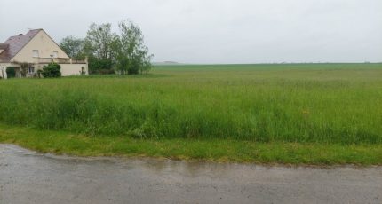 Nemours Terrain à bâtir - 1843284-10545annonce120240424uTAJX.jpeg Maisons Open