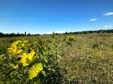  1841671-2970annonce420240426D7S2I.jpeg Maisons Open
