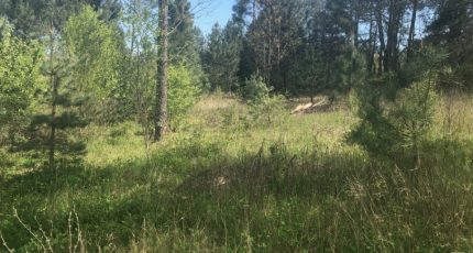Vagnas Terrain à bâtir - 1838651-9707annonce420240418P9Ot7.jpeg Maisons Open