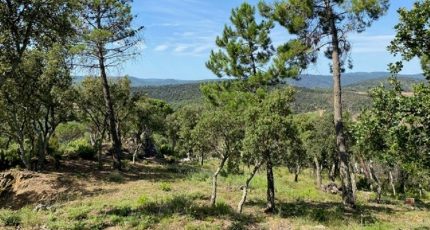 Grimaud Terrain à bâtir - 1839423-10122annonce120240419KiNSV.jpeg Maisons Open