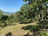  1839423-10122annonce3202404193hqDt.jpeg Maisons Open