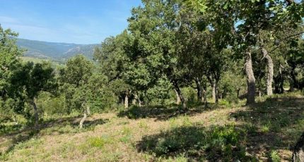 Grimaud Terrain à bâtir - 1839423-10122annonce3202404193hqDt.jpeg Maisons Open