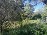  1841641-5922annonce320240423o6WUq.jpeg Maisons Open