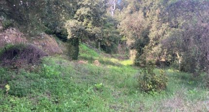 Seillons-Source-d'Argens Terrain à bâtir - 1842835-10840annonce120240424immkh.jpeg Maisons Open
