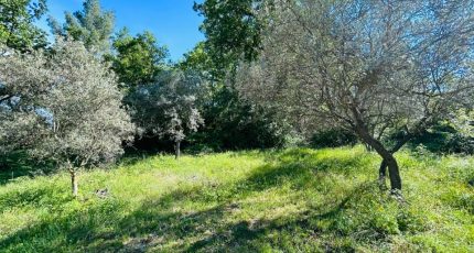 Draguignan Terrain à bâtir - 1844272-4529annonce220240425Q0DlT.jpeg Maisons Open