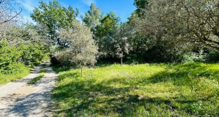 Draguignan Terrain à bâtir - 1844272-4529annonce3202404259LQ84.jpeg Maisons Open