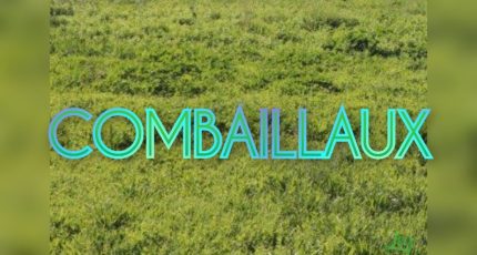Combaillaux Terrain à bâtir - 1808809-3243annonce120231103CesvO.jpeg Maisons Open