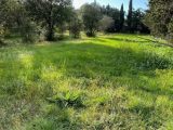  1850479-10819annonce120240506mXgVv.jpeg Maisons Open