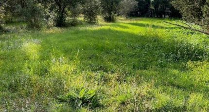 Grillon Terrain à bâtir - 1850479-10819annonce120240506mXgVv.jpeg Maisons Open